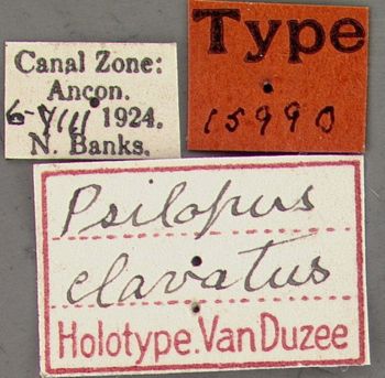 Media type: image;   Entomology 15990 Aspect: labels